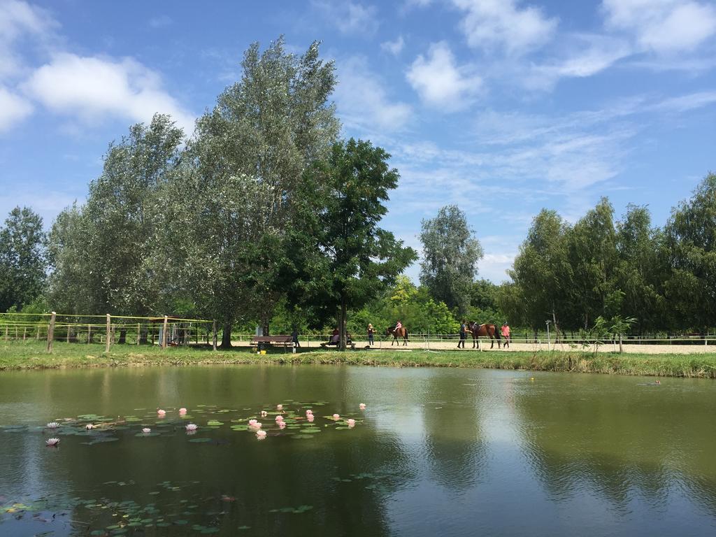 Mohacsi Wellness Vendeghaz Es Lovasklub Hotel Buitenkant foto