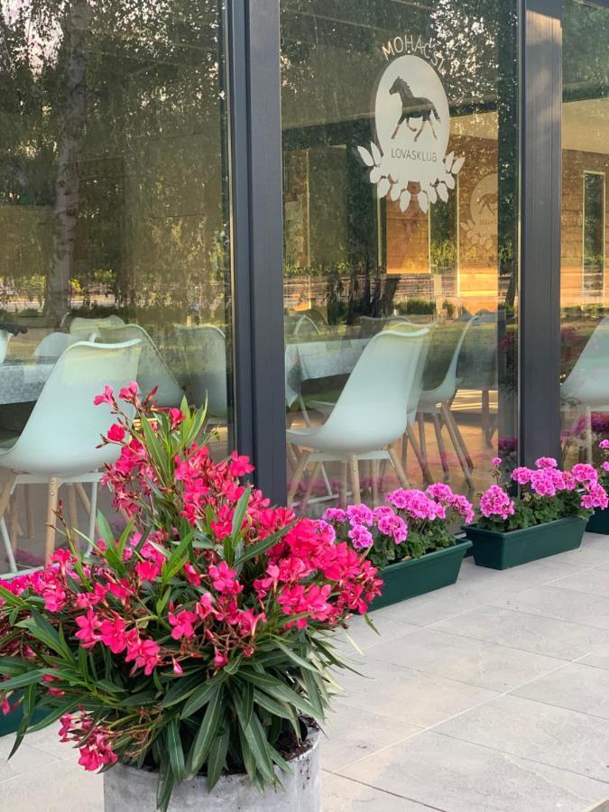 Mohacsi Wellness Vendeghaz Es Lovasklub Hotel Buitenkant foto