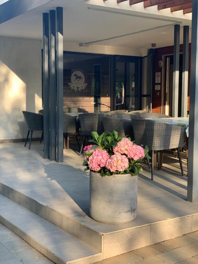 Mohacsi Wellness Vendeghaz Es Lovasklub Hotel Buitenkant foto